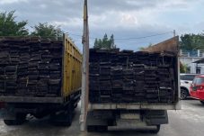 Kayu Ilegal Pesanan Toke Pangkalan Lesung Diamankan Polisi