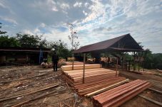 Polda Riau Bongkar Sawmill Ilegal di Kampar, Pengawas Ditangkap dan 780 Batang Kayu Disita