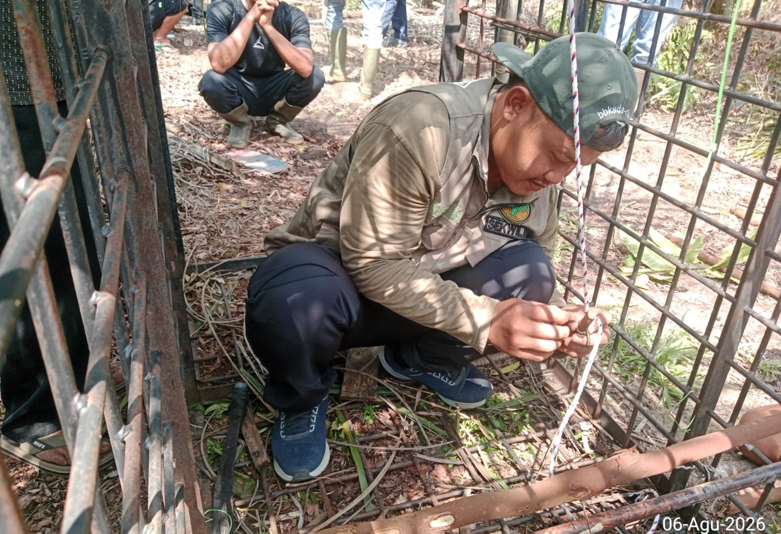 Monyet Ekor Panjang Diduga Teror Warga Tembilahan Diamankan