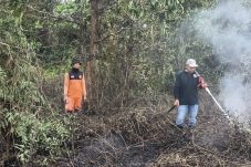 Kebakaran Lahan di Jalan Pramuka Selatpanjang, Masih Dilidik Polisi
