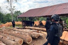 DPO Sejak 2024, Pemodal Ilegal Logging di Kampar Ditangkap
