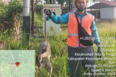PLN Sebut Gangguan Jaringan Jadi Penyebab Seringnya Pemadaman Listrik di Selatpanjang