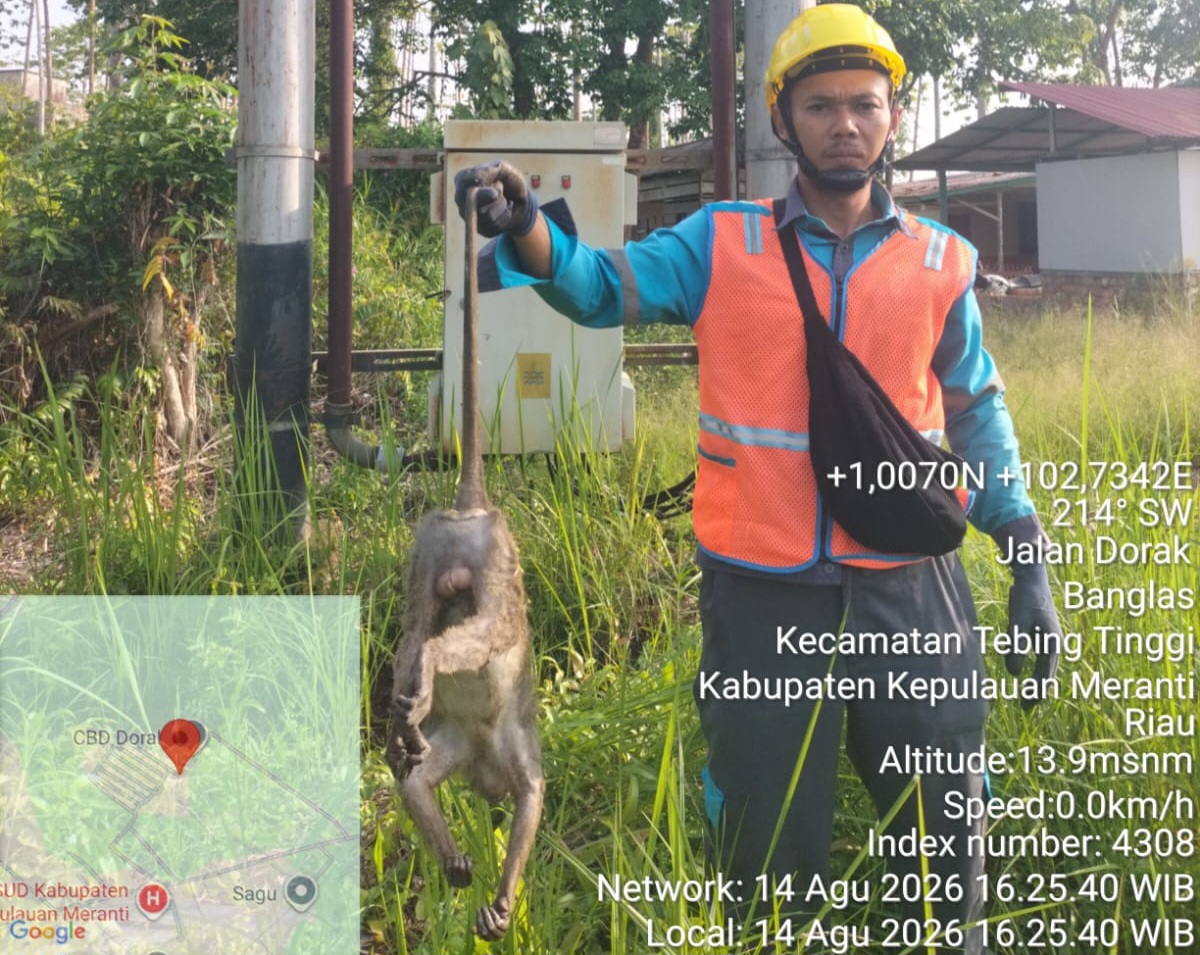 PLN Sebut Gangguan Jaringan Jadi Penyebab Seringnya Pemadaman Listrik di Selatpanjang