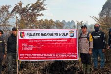 Gara-gara Puntung Rokok 5 Hektar Lahan Terbakar