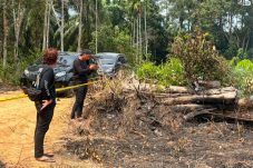 Gara-gara Usir Nyamuk, Pensiunan Ditangkap Polisi