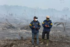 Dua Pengelola Kebun di Areal HGU Jadi Tersangka Karhutla