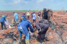 Subdit IV Tipidter Boyong Lima Ahli ke HGU PT TKWL yang Terbakar
