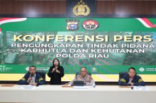 Polda Riau Tangkap 40 Pelaku Karhutla Bakar 904 Hektar Lahan