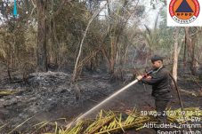 Api Setinggi 6 Meter Bakar Kebun Sagu dan Karet di Meranti, Pemadaman Berlanjut