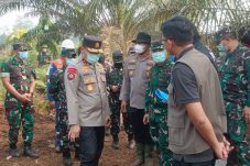44 Orang Ditetapkan Tersangka Karhutla di Riau