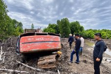 Polda Riau Ungkap Perambahan 111,77 Hektar Hutan Mangrove di Dumai