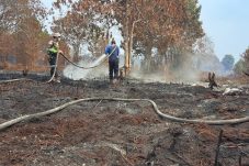 Hujan Guyur Selatpanjang, Lokasi Karhutla Gemala Sari Justru Kering, Pemadaman Masuk Hari ke-8