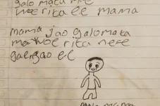 Siswa SD di NTT Gantung Diri, Tinggalkan Surat Pilu untuk Mama