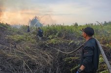 Petugas Berhasil Padamkan Karhutla di Pulau Merbau