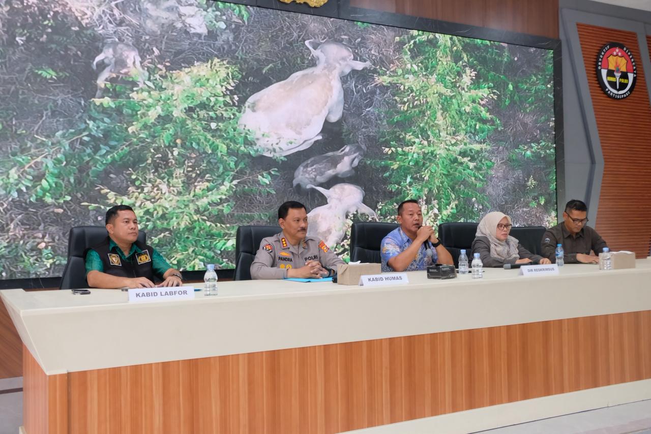 Dua Proyektil Ditemukan di Bangkai Gajah di Pelalawan