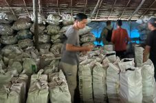 Industri Arang Meranti Terhenti, Bea Cukai Sebut Tidak Ada Larangan Pengiriman Produk Arang