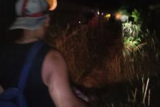 Bersama Warga, BBKSDA Riau Halau Kawanan Gajah Liar yang Merusak Kebun Semangka