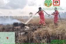 Dua Titik Karhutla di Rengat Hampir Padam, Manggala Agni Pastikan Tak Ada Bara Tersisa