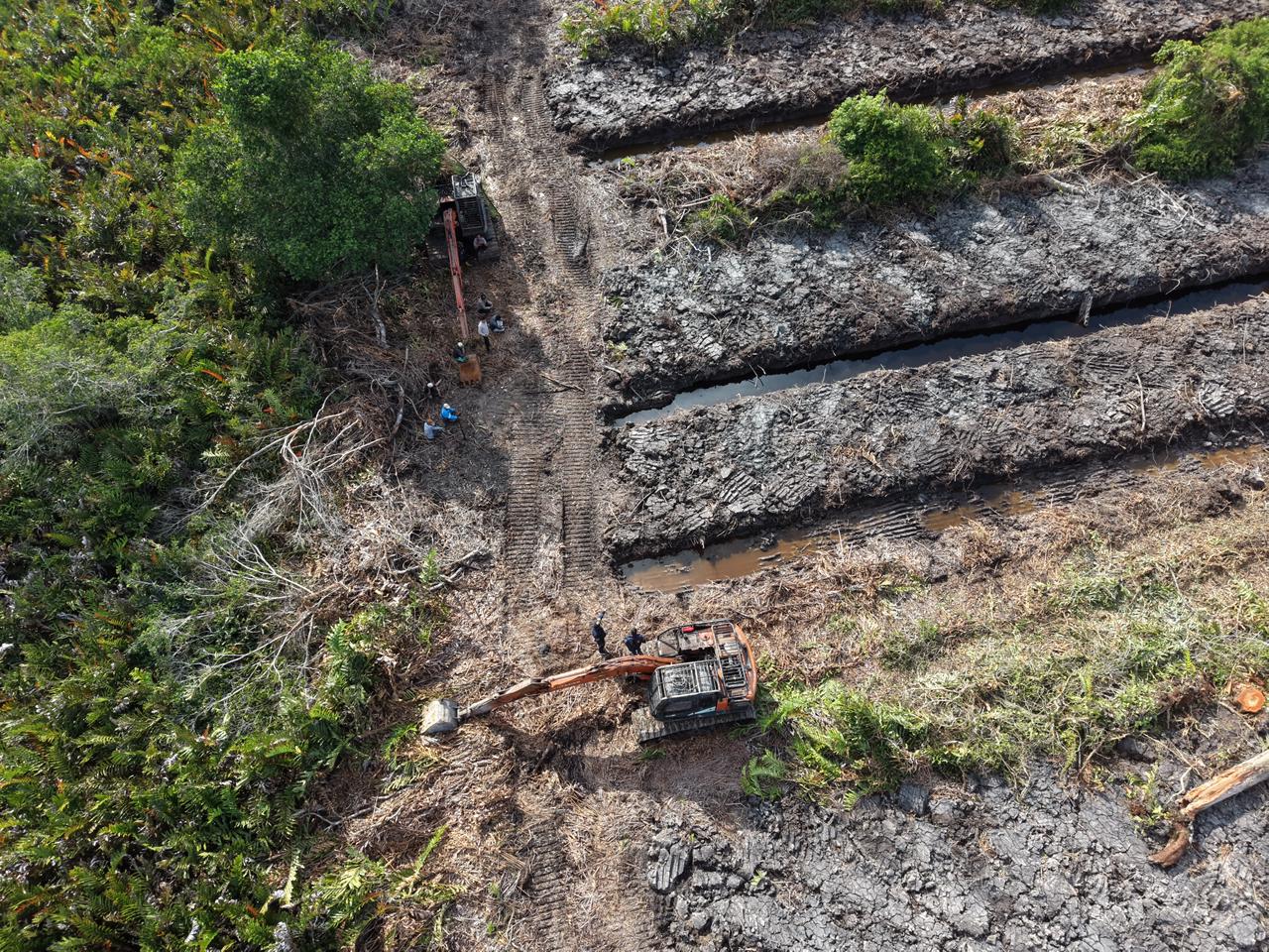 Polda Riau Kejar Pelaku Perusakan 100 Hektare Hutan Mangrove di Rohil