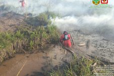 Angin Kencang Hambat Pemadaman Karhutla Tiga Wilayah di Riau