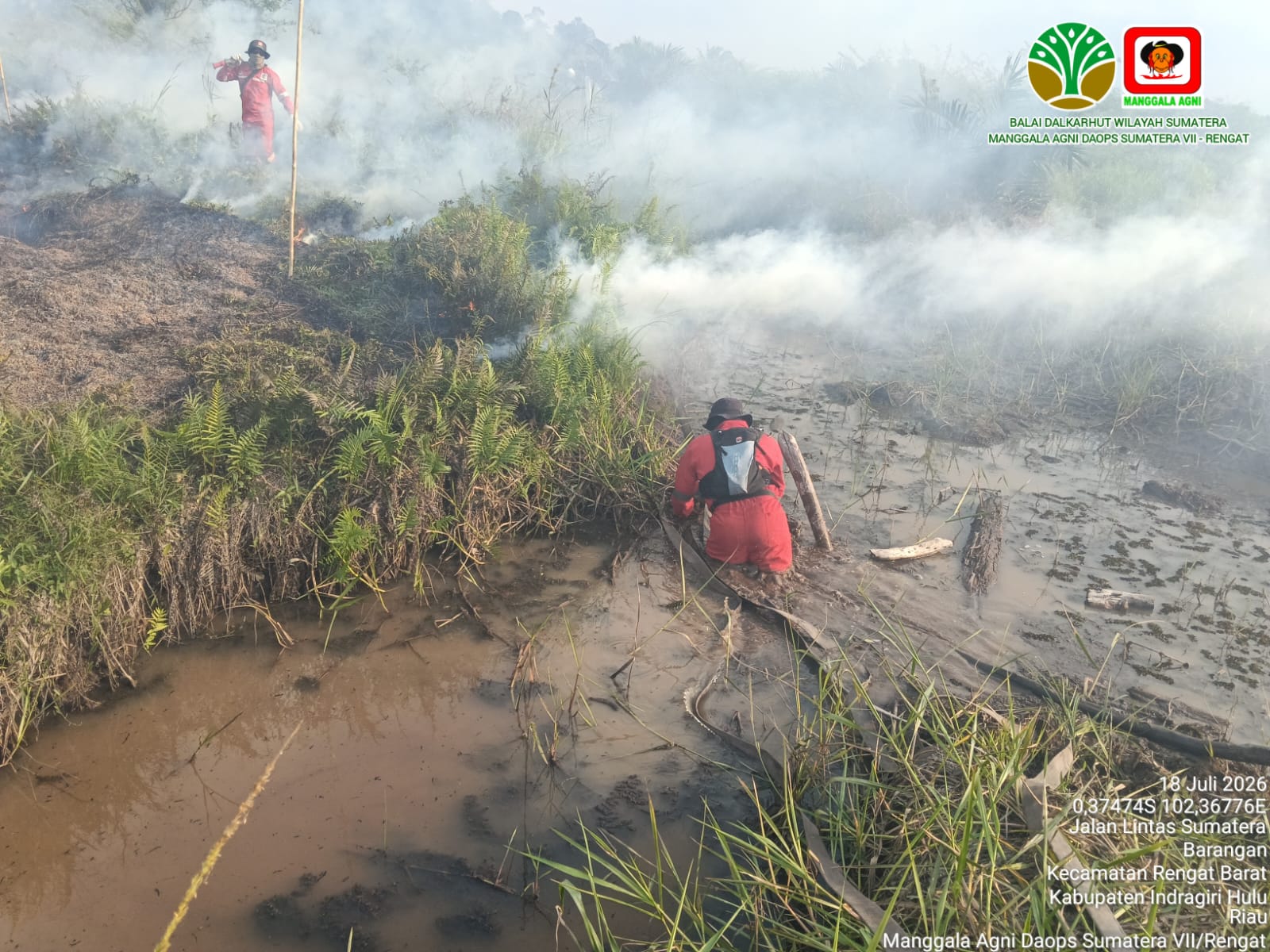 Angin Kencang Hambat Pemadaman Karhutla Tiga Wilayah di Riau