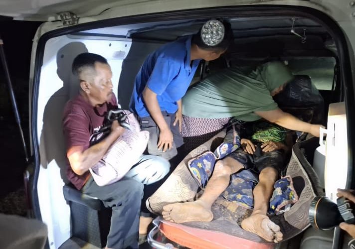 Harimau Sumatera Serang Pekerja Sawit di Siak, Korban Selamat Usai Diseret ke Arah Hutan