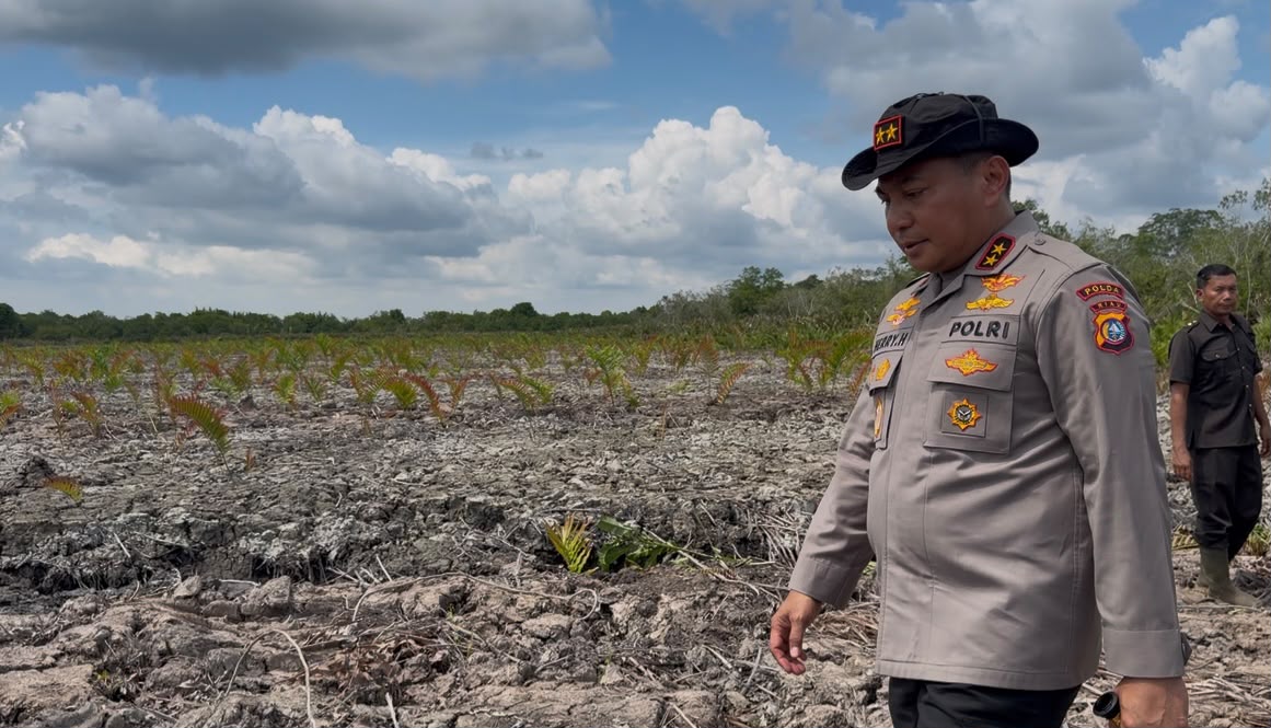 Kapolda Riau Cek Hutan Mangrove yang Dibabat di Rohil