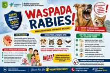 Waspada Rabies, Kenali Gejalanya dan Cegah Sebelum Terlambat