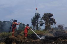 Manggala Agni Padamkan Dua Titik Karhutla di Pelalawan