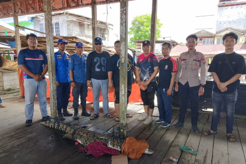 Incar Ayam Warga, Buaya di Gaung Inhil Ditangkap