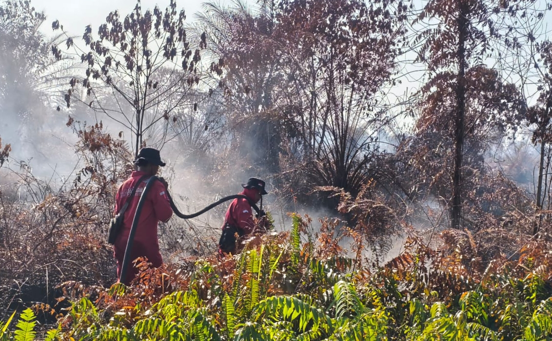 Empat Regu Manggala Agni Lanjutkan Pendinginan Karhutla di Pematang Pudu