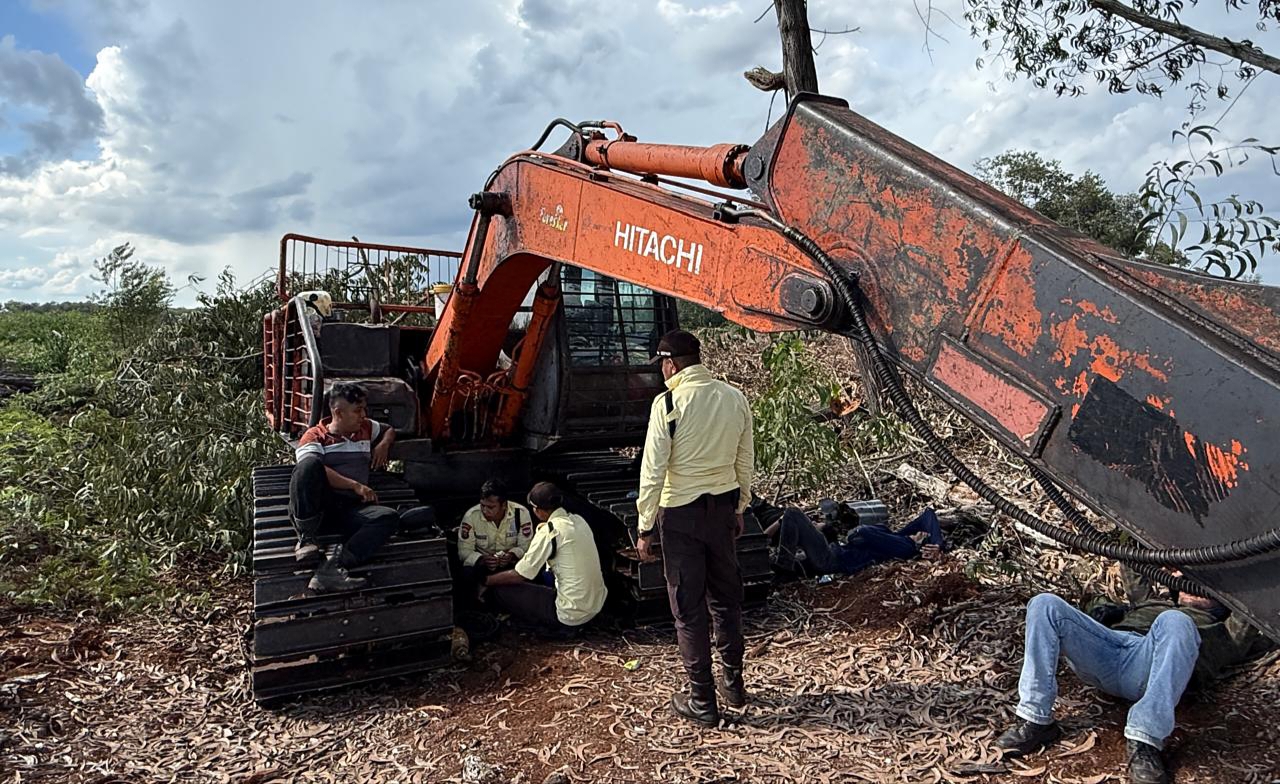 Polres Bengkalis Tetapkan Tersangka Perambahan 20 Hektare Kawasan Hutan Produksi
