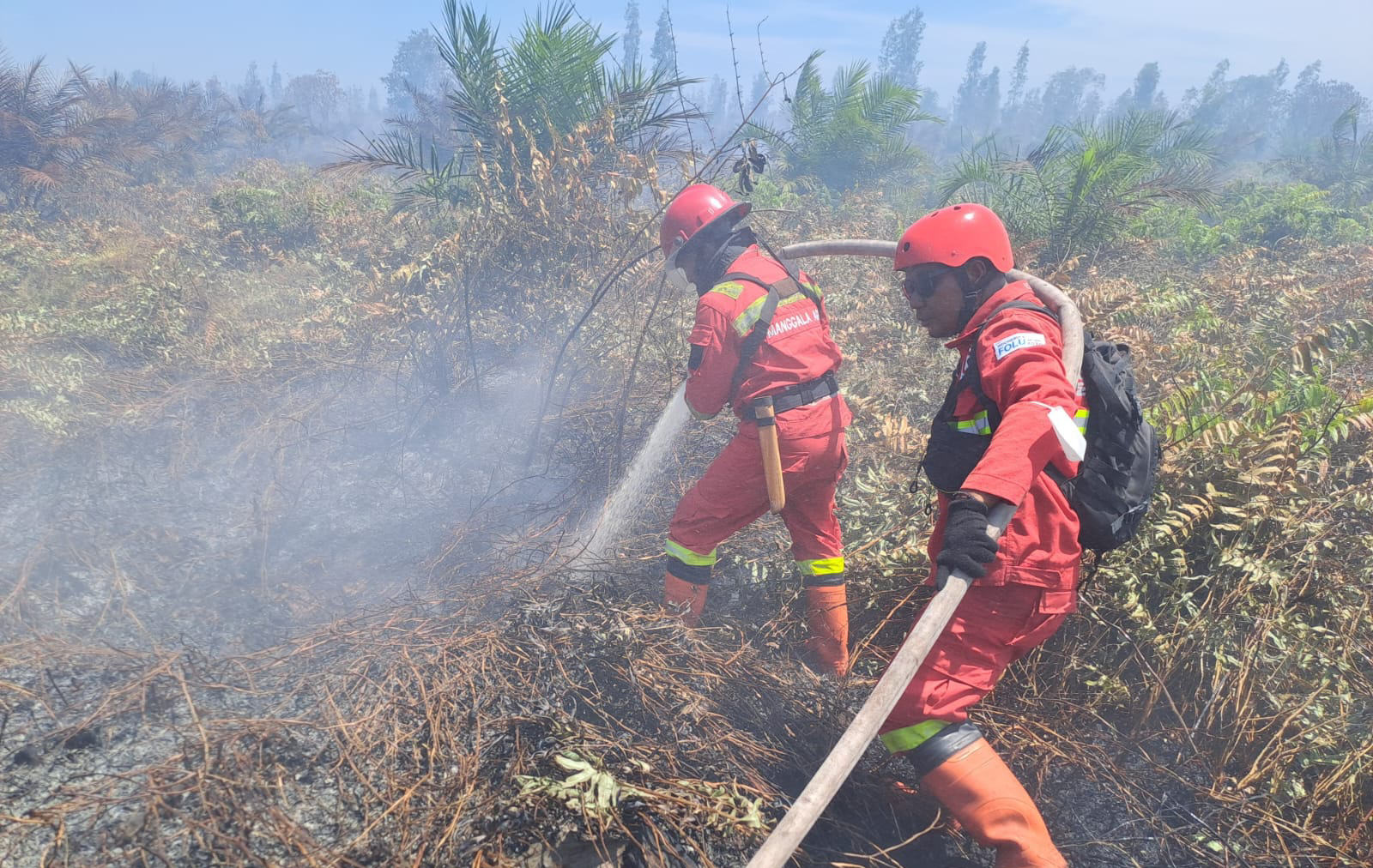 Karhutla Masih Berlangsung di Tiga Daerah