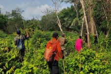 Pria 60 Tahun Hilang di Kawasan Perkebunan Desa Maini