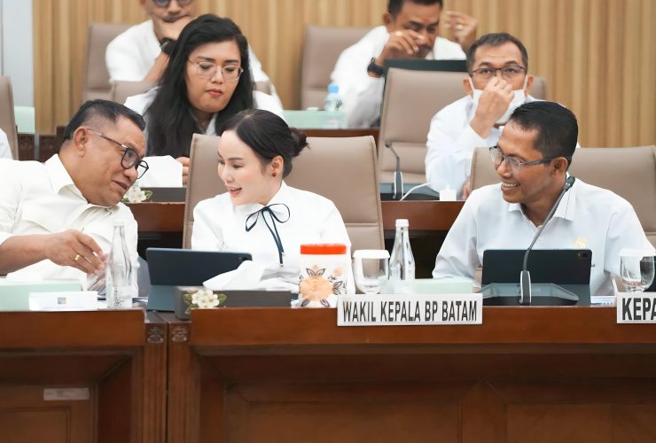 Ekonomi Batam Tumbuh 7,28 Persen, BP Batam Pastikan Investasi Jadi Lapangan Kerja